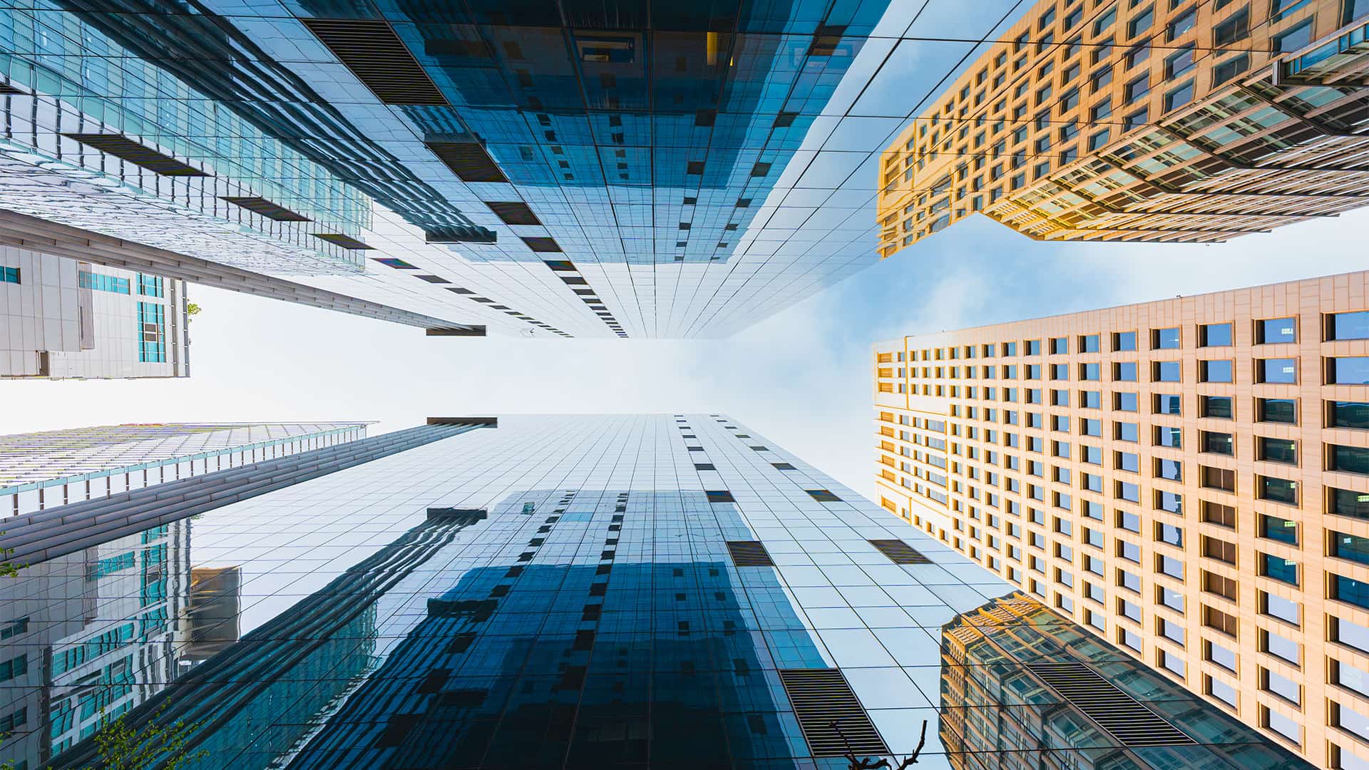 Modern looking skyscrapers from a low angle view