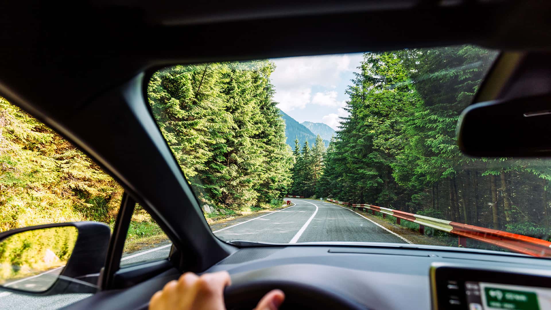 Person driving on a road through a dense forest.