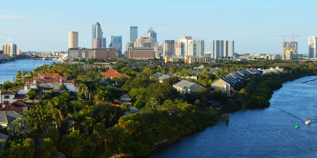 Tampa Skyline