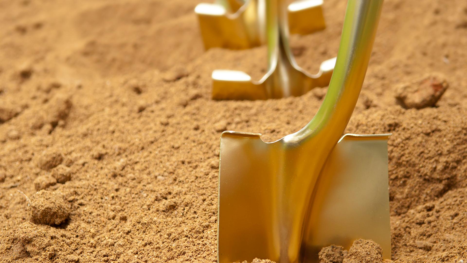 Three shovels lined up in a row, sticking up from a dirt field.