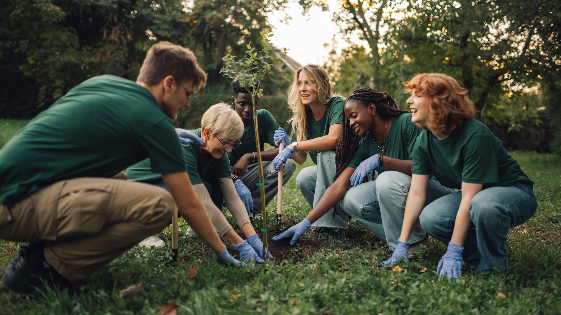 Group of volunteers is planting a young tree in the park.