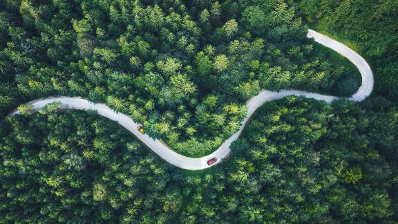 A winding road through a dense forest.