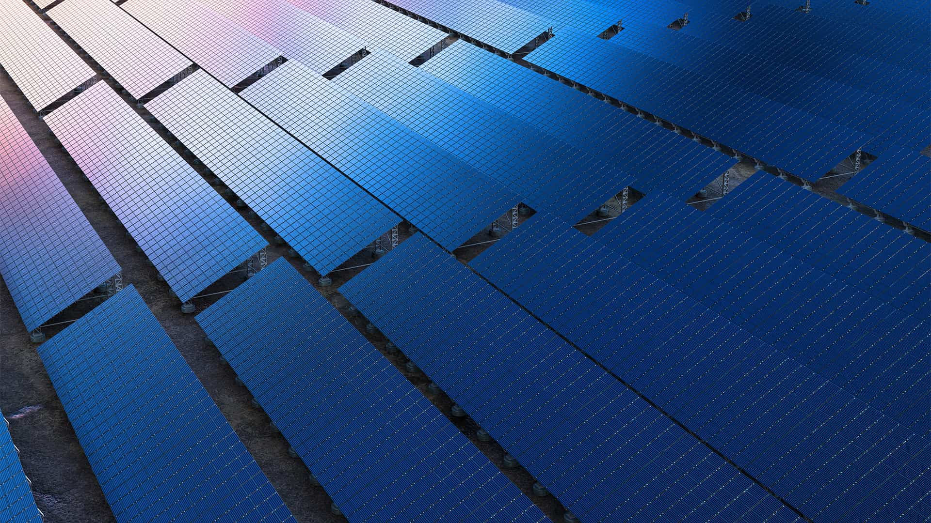 Rows of solar panels outdoors.