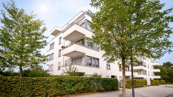A large white condo building surrounded by thick trees.