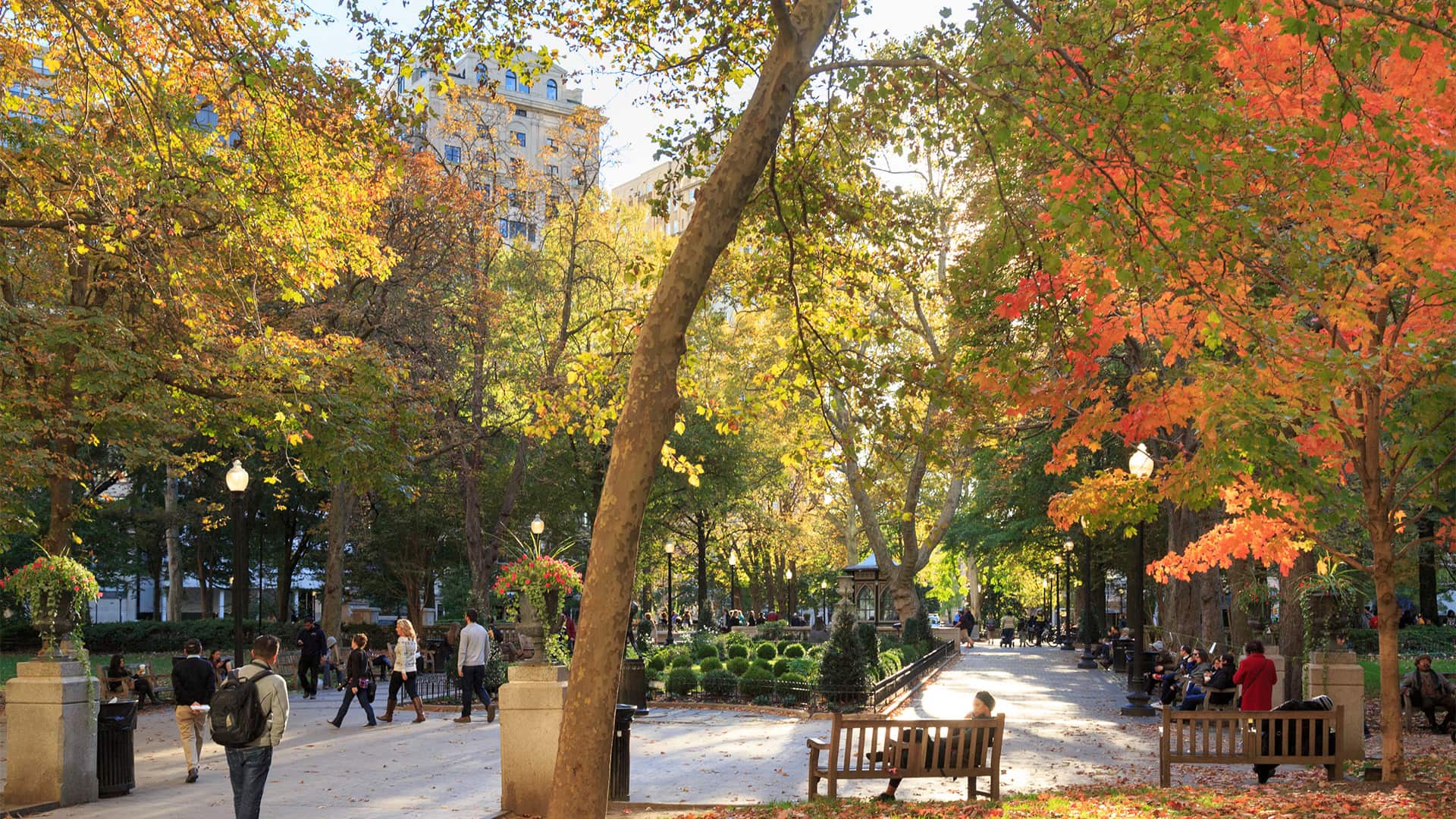 Fall foliage in Philadelphia, PA, U.s.a.