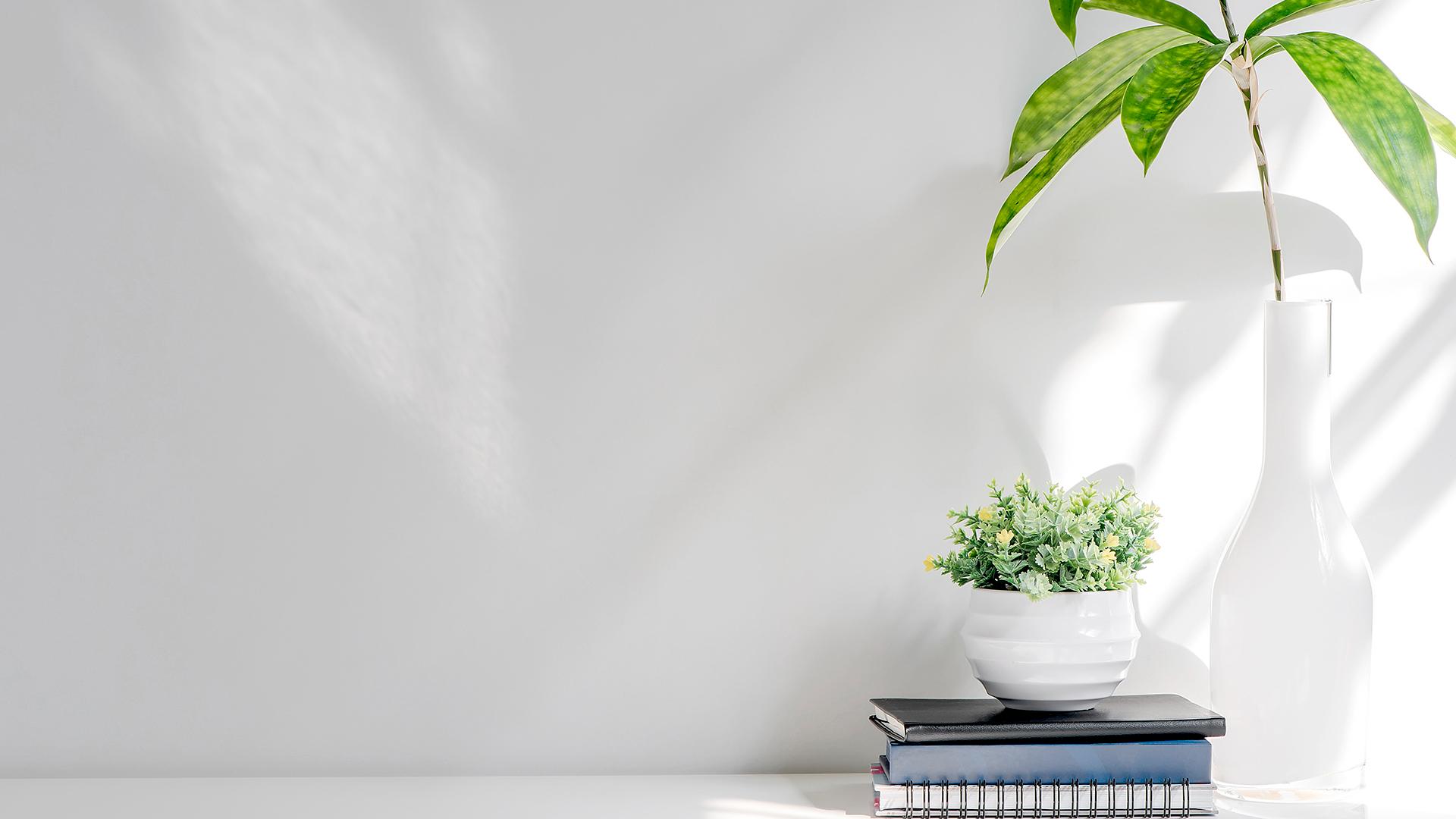Succulents in a vase stacked on top of books on a shelf.