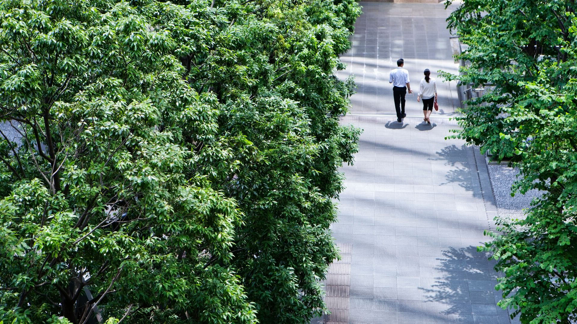 A man and woman walking down a passage way among trees together