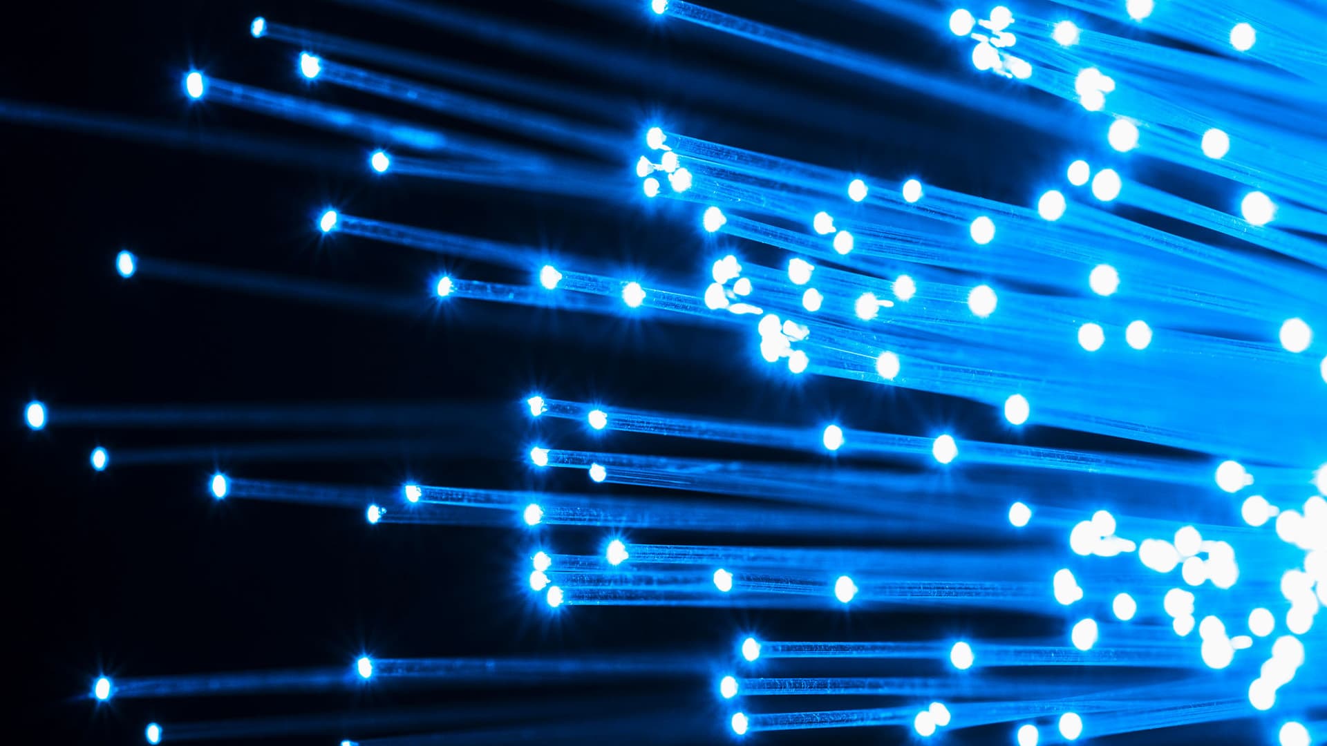 A studio shot of fiber optical glowing